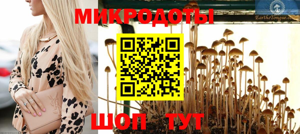 Псилоцибиновые грибы ЛСД  Вход с VPN  Галлюциногенные грибы прущие грибы  Дятьково 